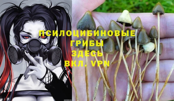 прущий лед Магас