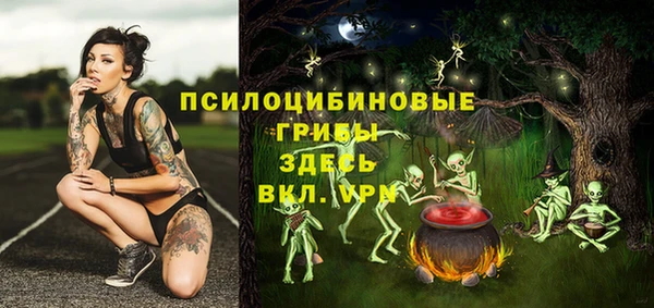 прущий лед Магас
