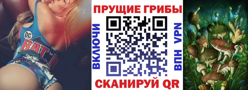 где найти   Тамбов  Галлюциногенные грибы мицелий 