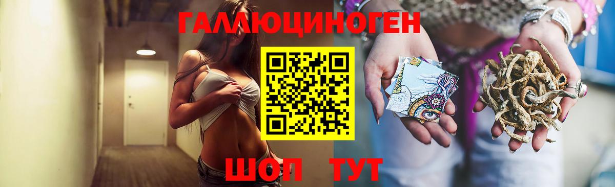 Тамбов  Псилоцибиновые грибы GOLDEN TEACHER  Вход с VPN  Галлюциногенные грибы прущие грибы 