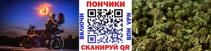 Бошки марихуана план  Тамбов 