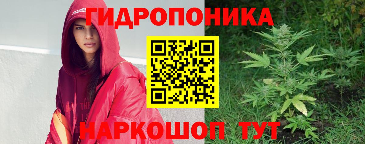Бошки Шишки тримм  Вход с VPN  Бошки Шишки индика  Конопля тримм  Канабис марихуана  Тамбов 